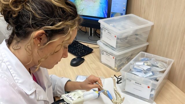 Revolutionizing Primate Diet Studies with Advanced Machine Learning Techniques