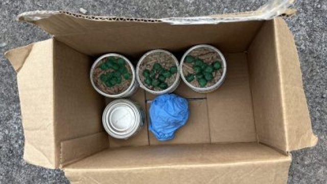 Urgent Warning: Contaminated Pet Food Discovered in Dryden Area
