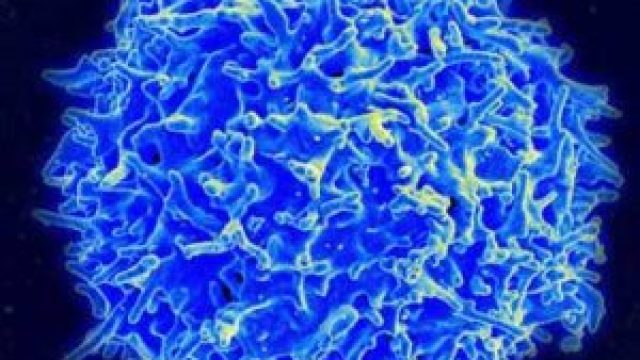 Unpacking the Links Between Long COVID and Blood Clots