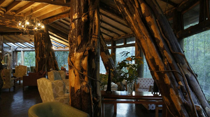 Magical magical wooden hotel, castle in the fairy forest--top emoticon